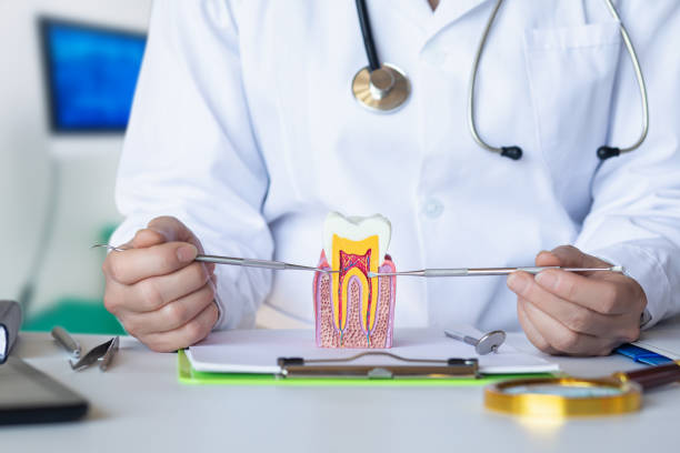 Best Emergency Dental Care for Broken or Chipped Teeth in Oak Hills, CA